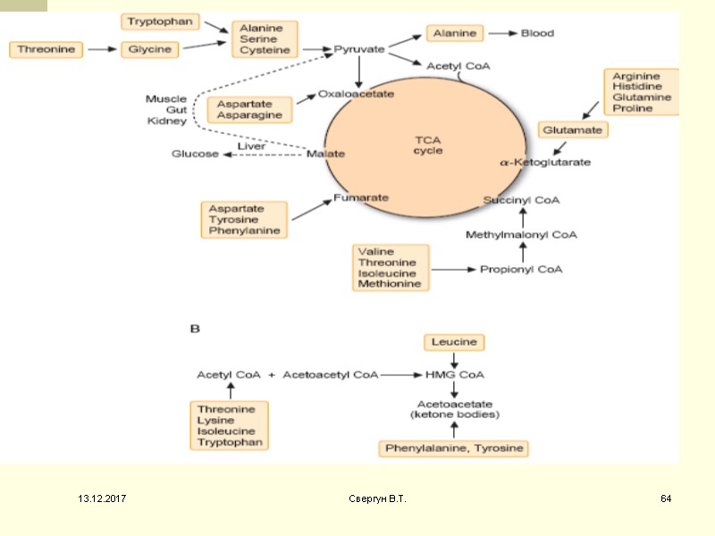 13.12.2017 64 Свергун В.Т.